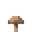 Item of brown_mushroom